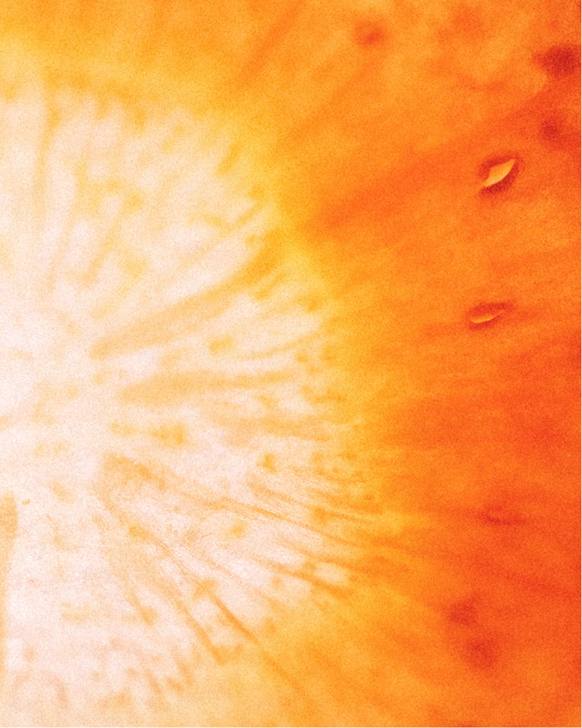 Vitamin C (Ascorbic Acid)