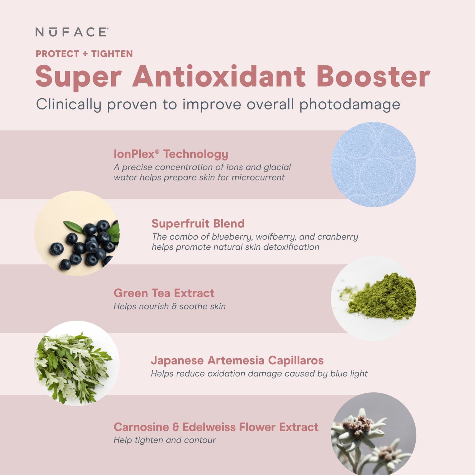 Ingredient Chart for Super Antioxidant Booster Serum by NuFACE.
