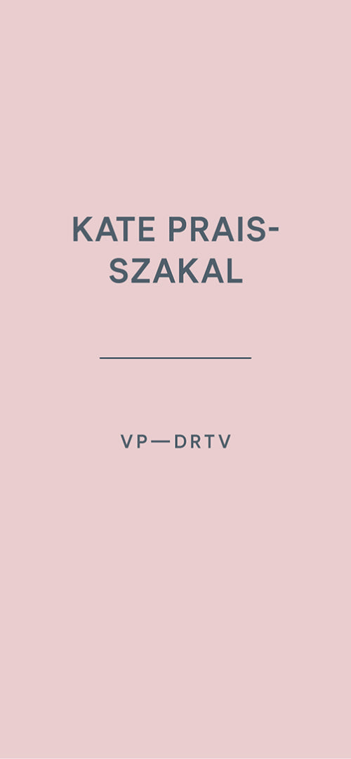 the name and position of NuFACE employee Kate Prais Szakal, VP--DRTV