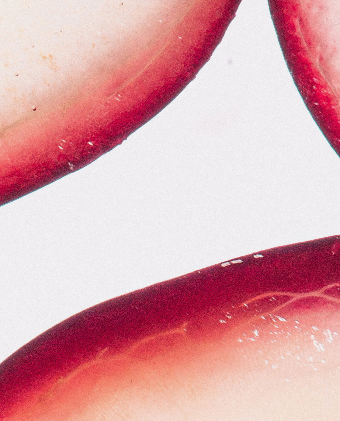 Grapeseed & Maqui Berry Extracts