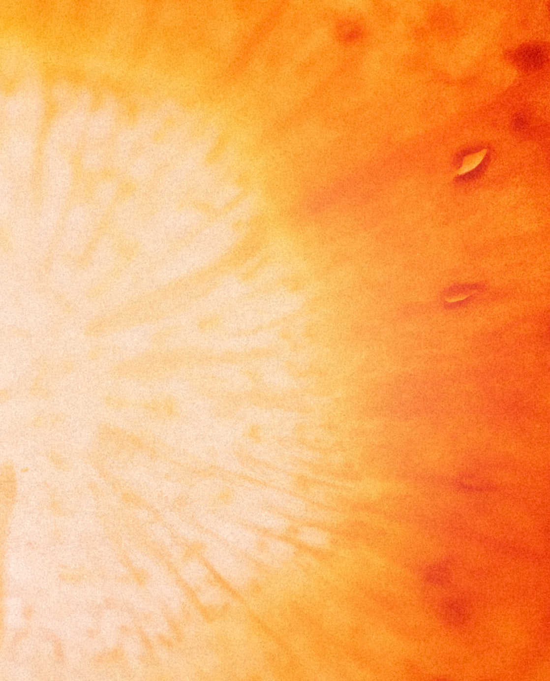 Vitamin C (Ascorbic Acid)